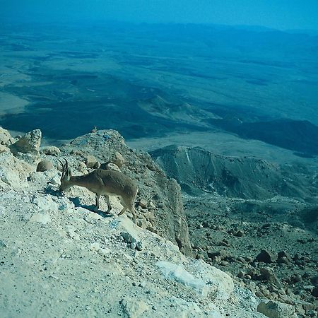 Ramon Inn By Isrotel Collection Mitzpe Ramon Eksteriør billede