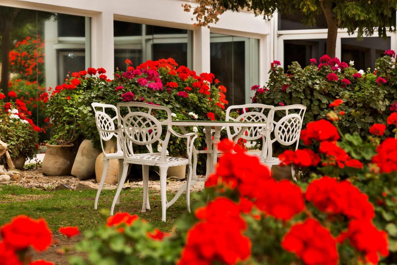 Ramon Inn By Isrotel Collection Mitzpe Ramon Eksteriør billede
